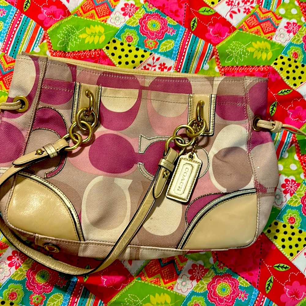 This handbag has tons on life to give someone.